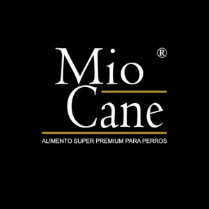 Inicio